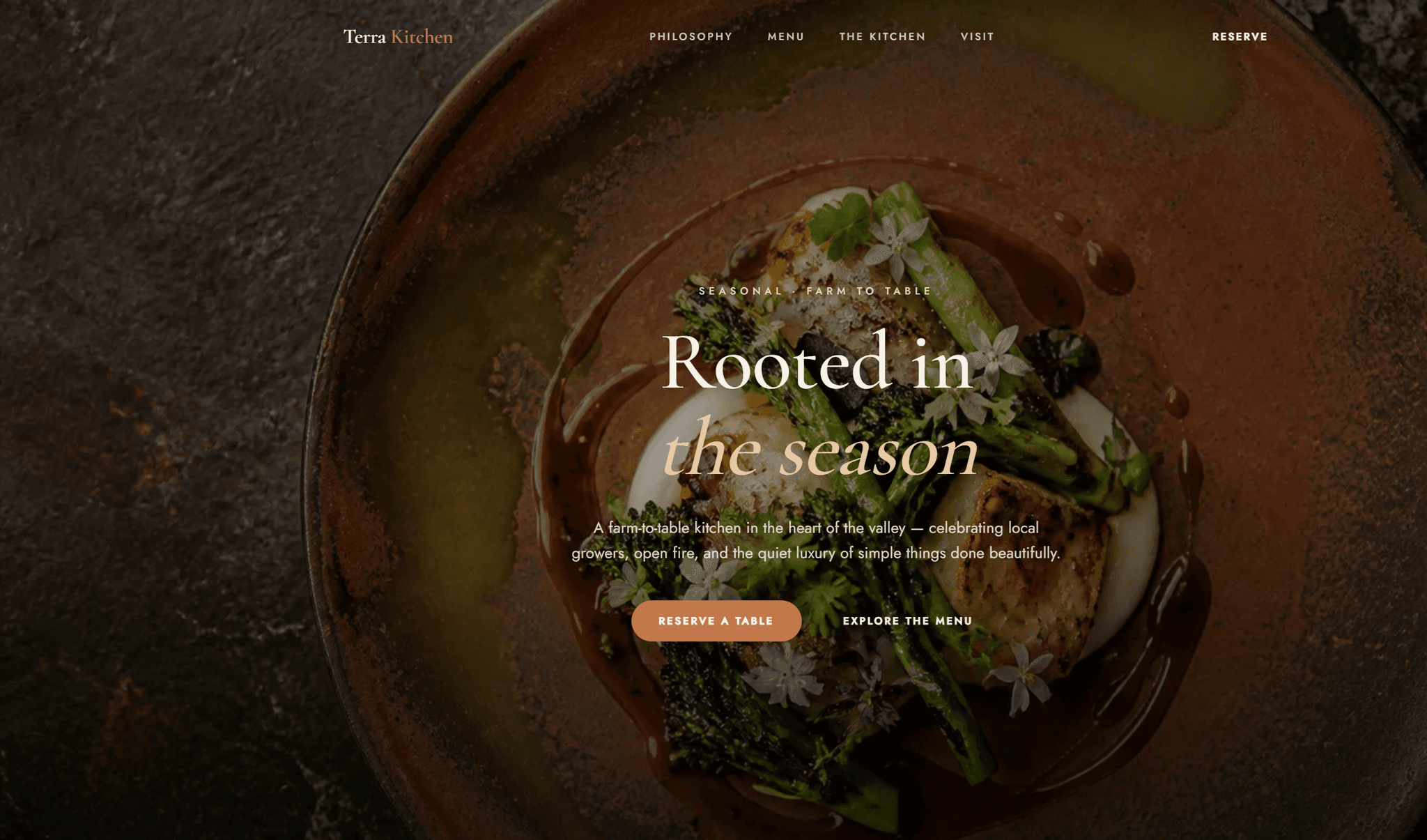 Terra Kitchen website preview